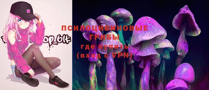 Псилоцибиновые грибы Magic Shrooms  ОМГ ОМГ ТОР  Дубовка 